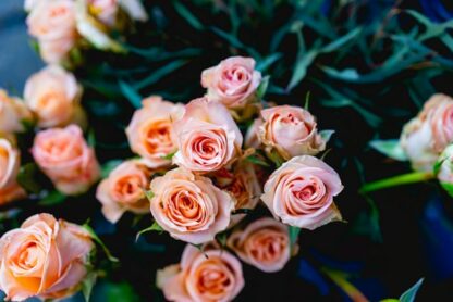 Bouquet of Fresh Roses